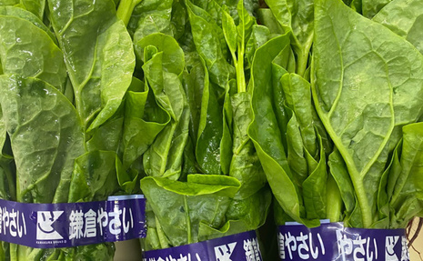 鎌倉野菜いろいろ入荷してます。